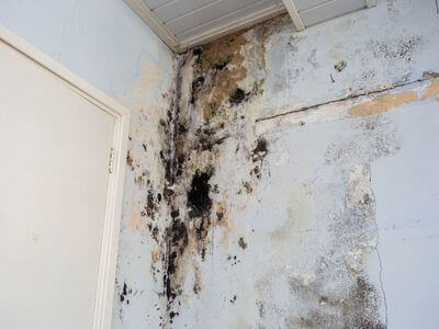 About water damage cleanup - ceiling water damage repair experts in Takoma Park