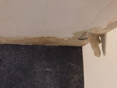 Professional ceiling water damage repair services in Takoma Park - water damage cleanup