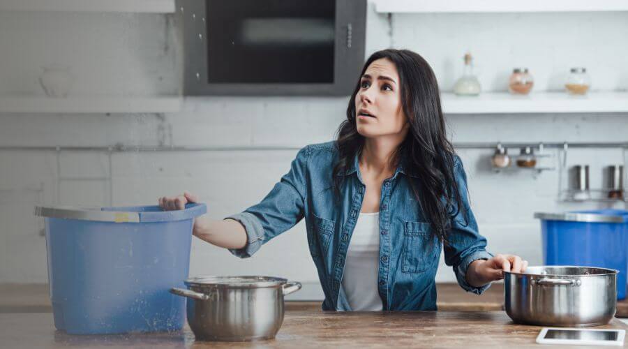 Why choose water damage cleanup for ceiling water damage repair in Takoma Park